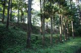 鉢形城跡