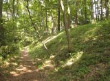 山田城跡