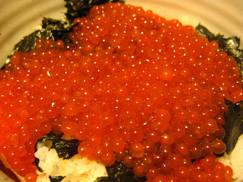 japanese food