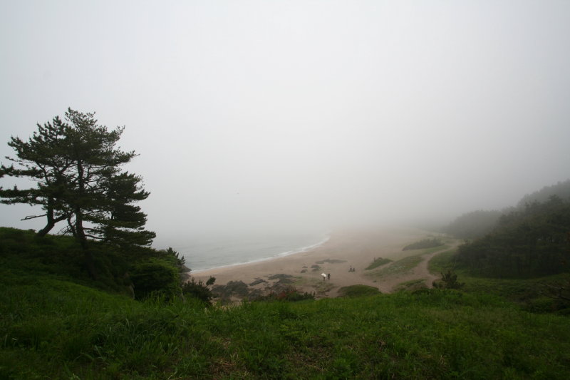 japan-aomori-hachinohe2 image.pic4