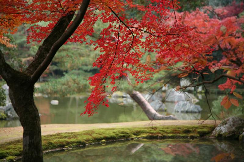 japan-kyoto-kinkaku-ji-temple image.pic