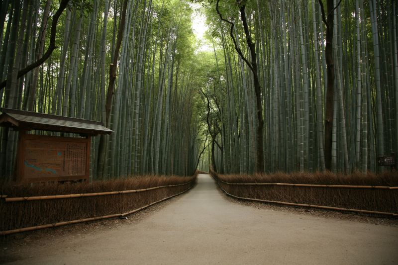 Kyoto Photos