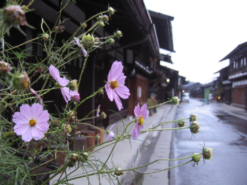 Narai jyuku image.pic