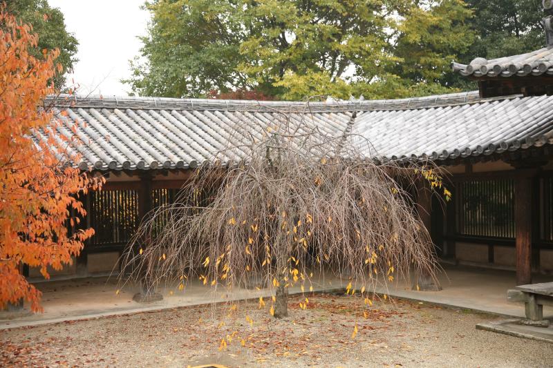 Horyu-ji temple, Nara, japan
