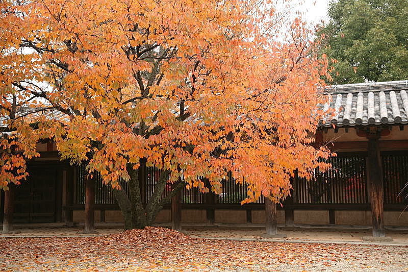 Horyu-ji temple, Nara, japan