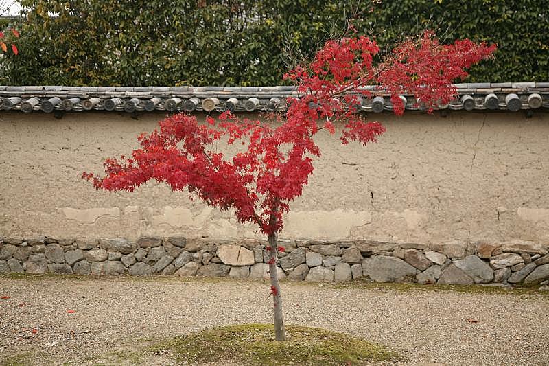 Horyu-ji temple, Nara, japan