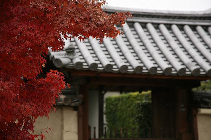 Horyu-ji temple, Nara, japan