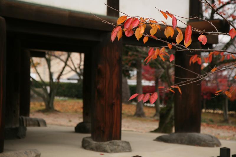 Horyu-ji temple, Nara, japan