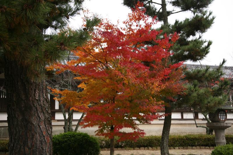 Horyu-ji temple, Nara, japan