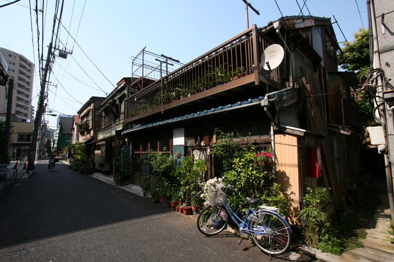 nezu image.pic