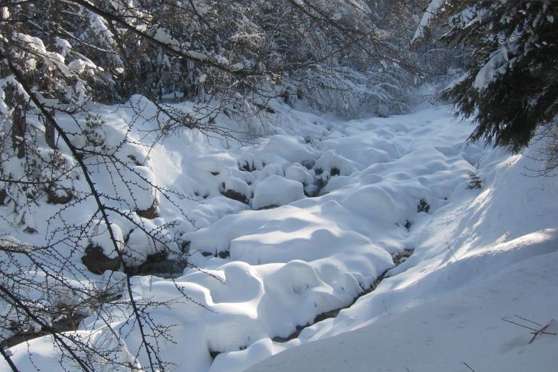 japan landscape winter