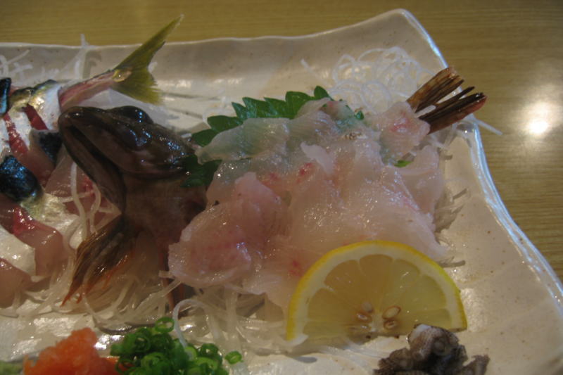 sashimi