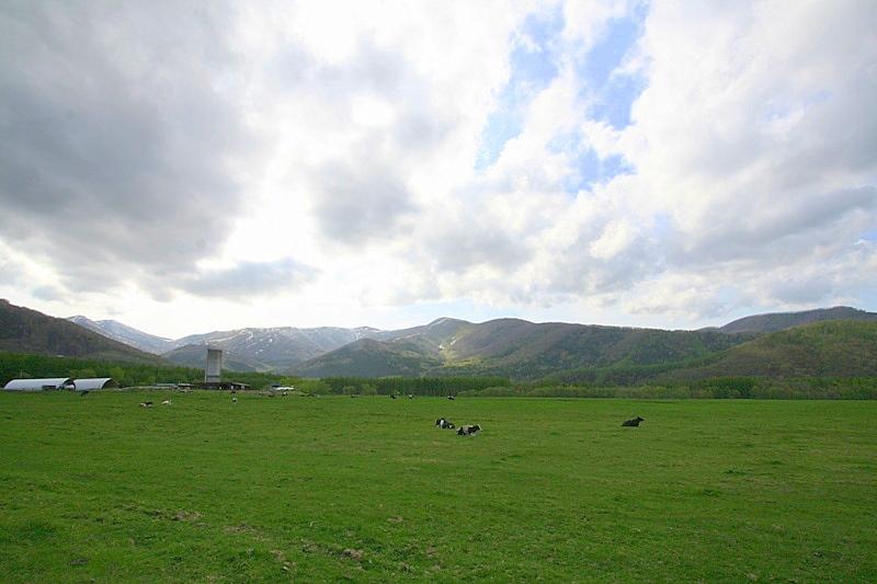 帯広 image.pic8