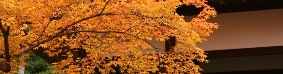 Kanazawa