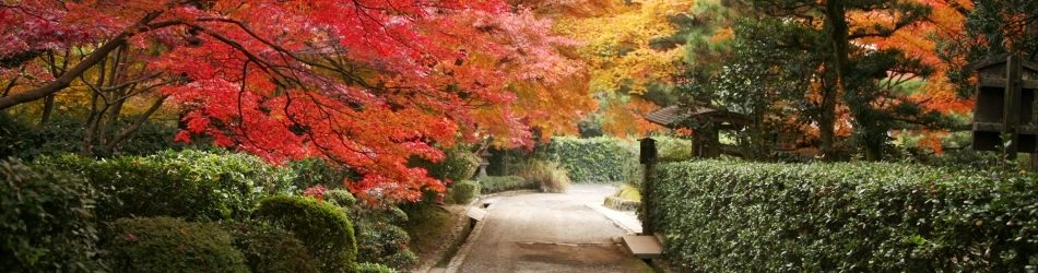 日本の風景