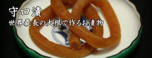 守口漬け