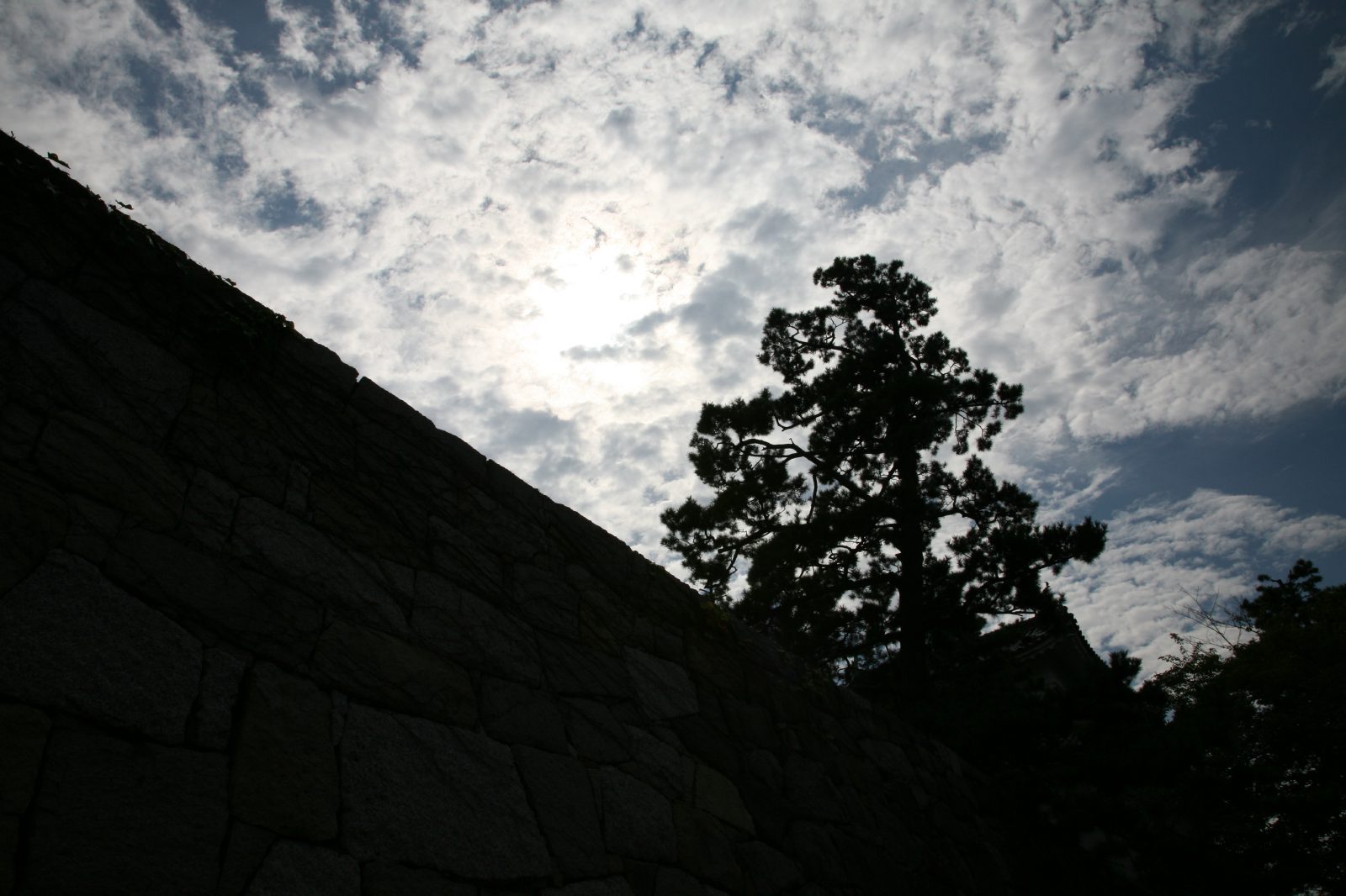 Nagoya castle