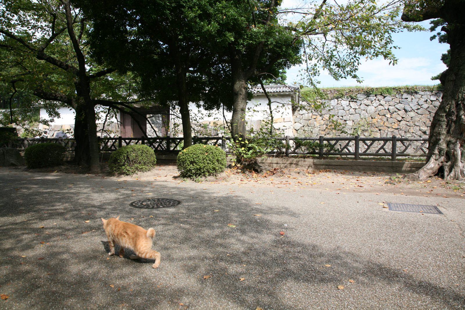 Nagoya castle