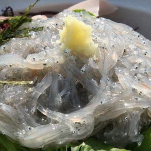 生しらす