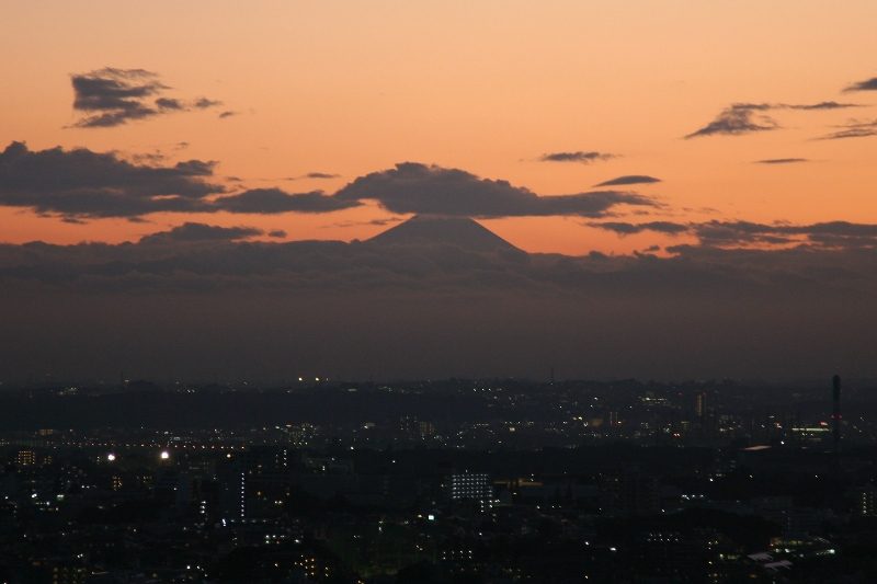 东京から富士山が见える场所