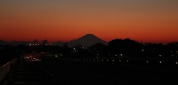 見沼田圃から見る富士山