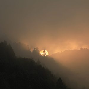 山口