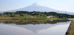 逆さ富士