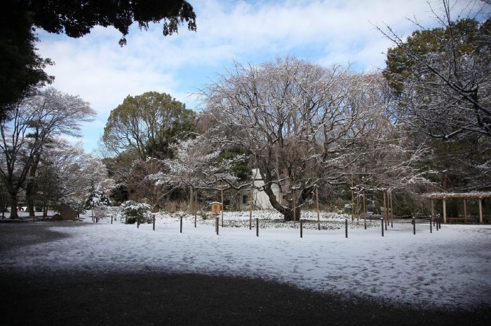 東京　雪景色