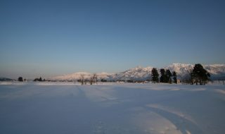 Landscapes with snow