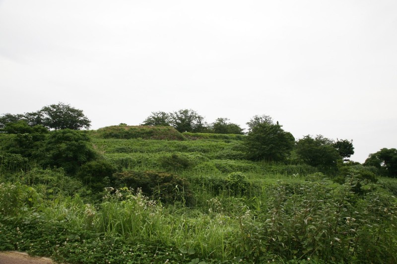 Hara castle ruins