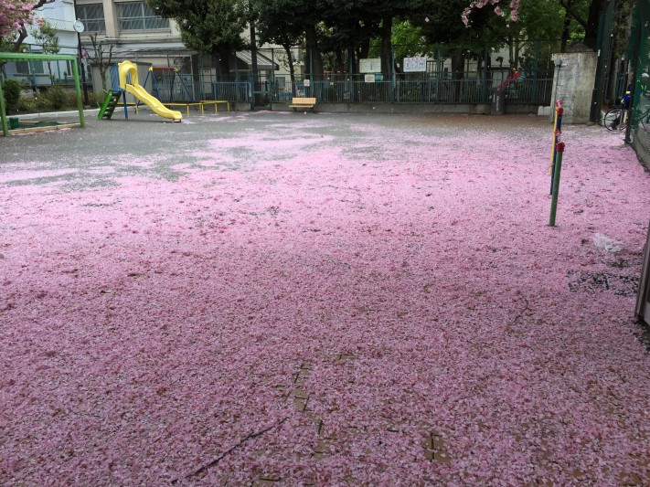 pink carpet