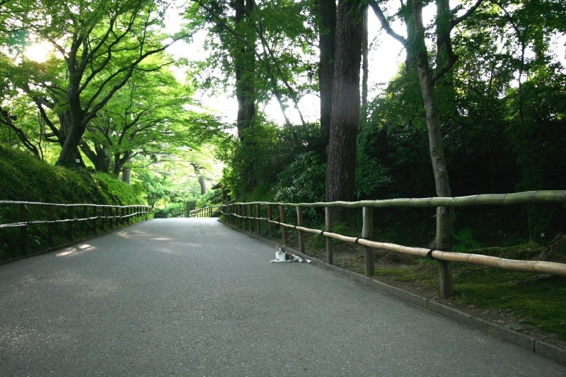 Hiraizumi, Iwate