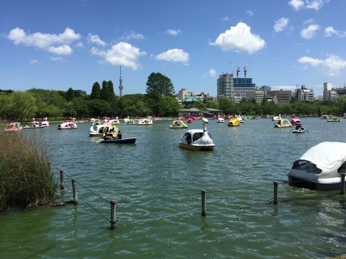 Pond, swans, and tower