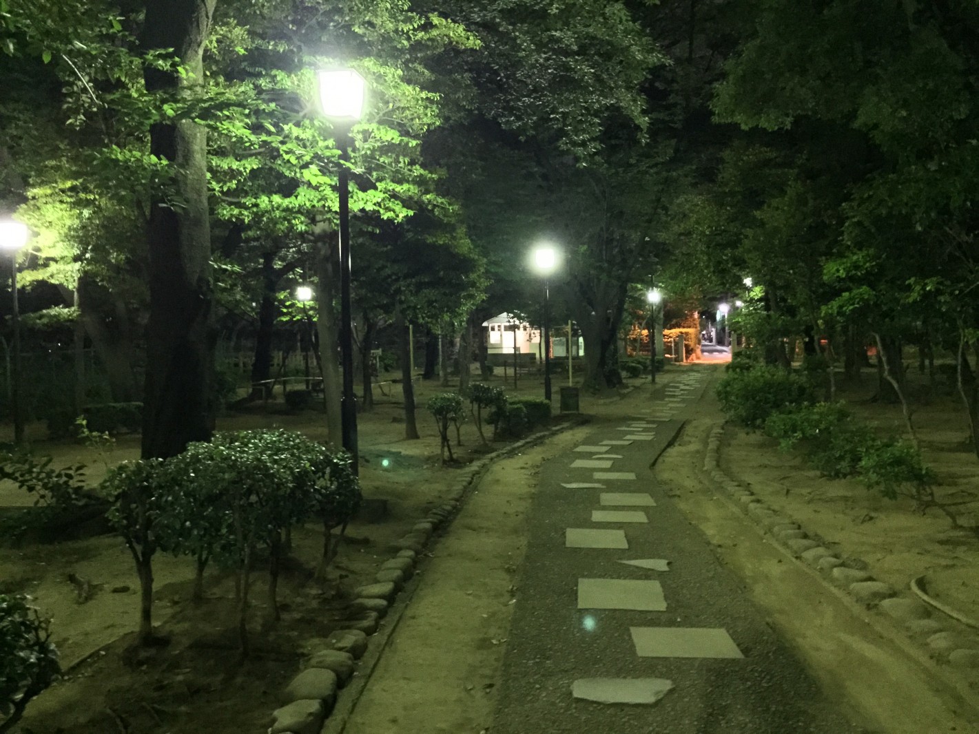 I Think Of The Night In The Park