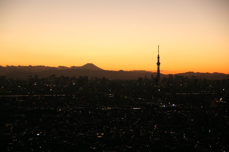 Mount Fuji and Tokyo sky tree
