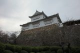 Tsuyama castle