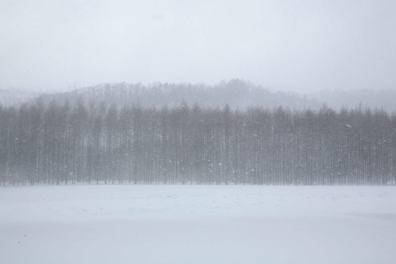 真冬の北の大地