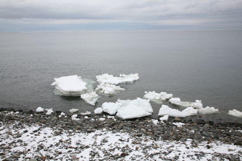 the Sea of Okhotsk drift ice