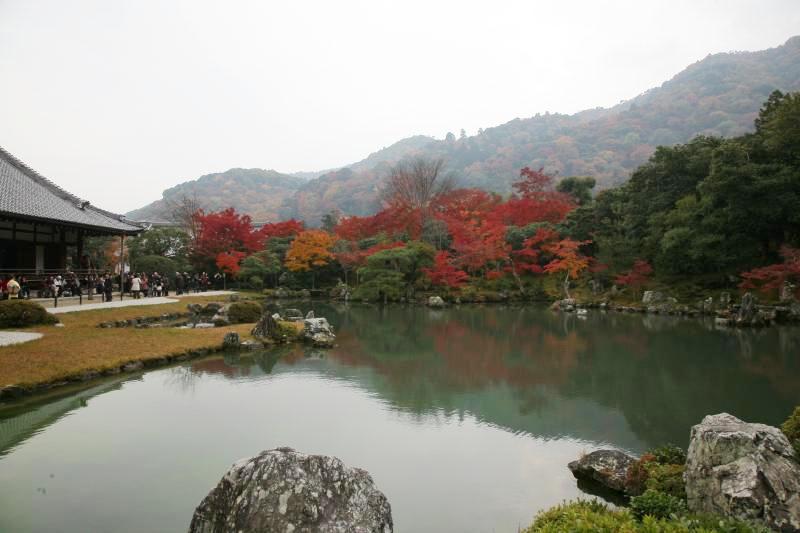 京都　世界遺産、　特別名勝　天竜寺　庭園