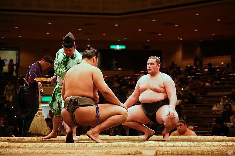 Sumo