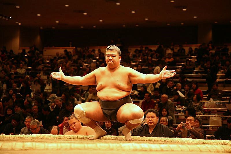 Sumo