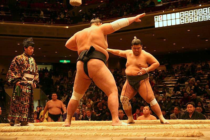 Sumo