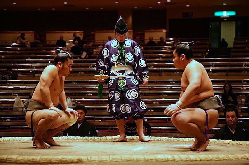 Sumo