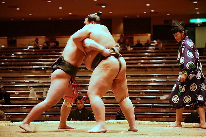 Sumo