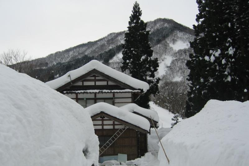 japan-winter image.pic