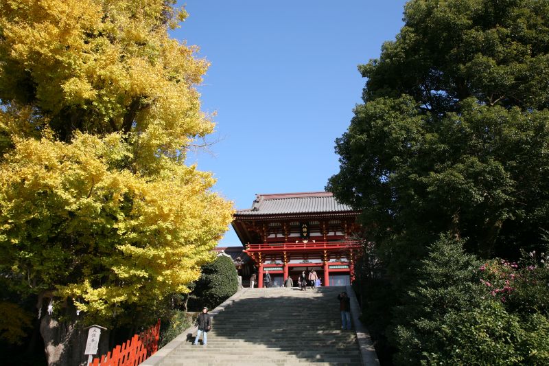 鎌倉・鶴岡八幡宮