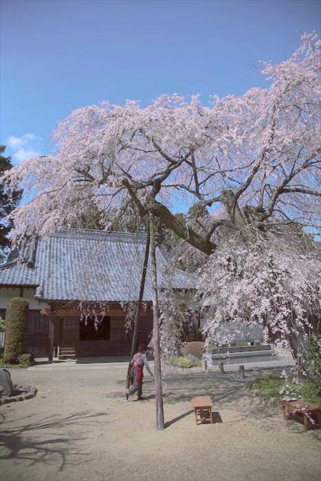 Soryu-ji temple