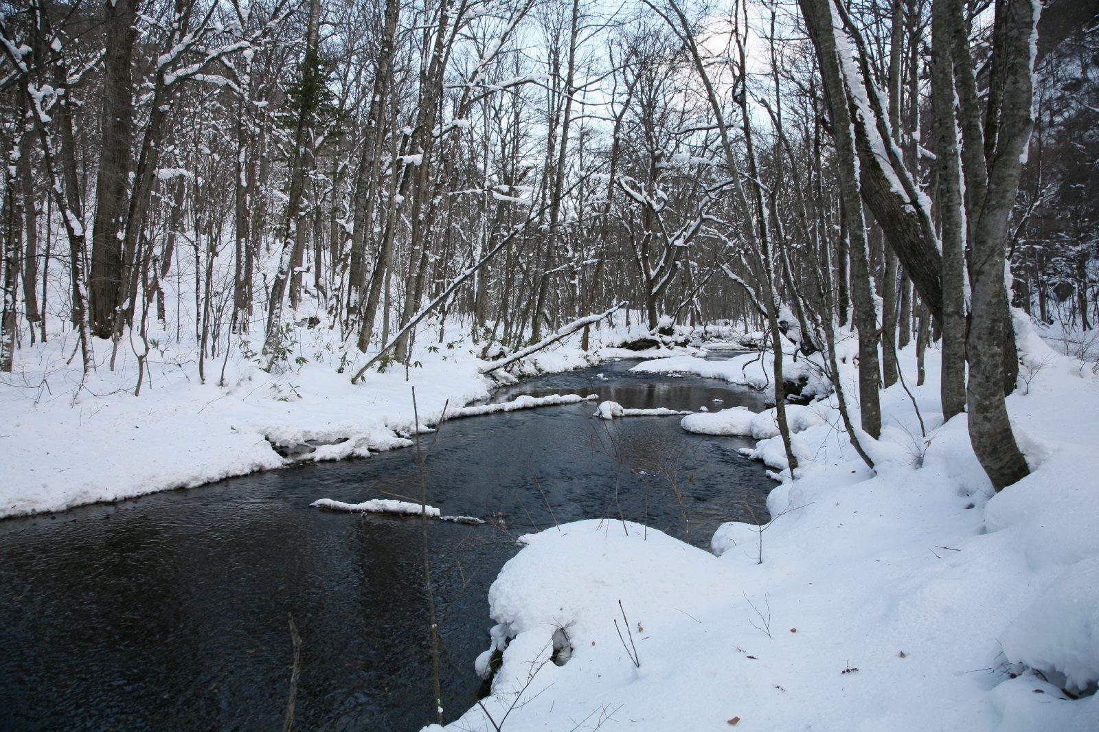 冬の奥入瀬渓流