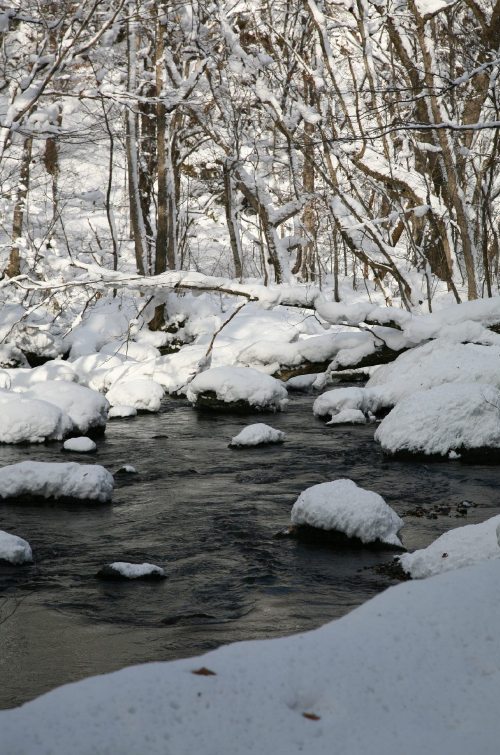 冬の奥入瀬渓流