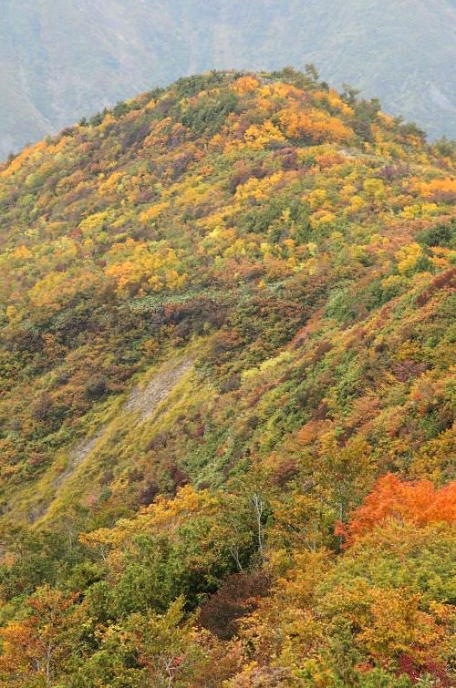 谷川岳の紅葉